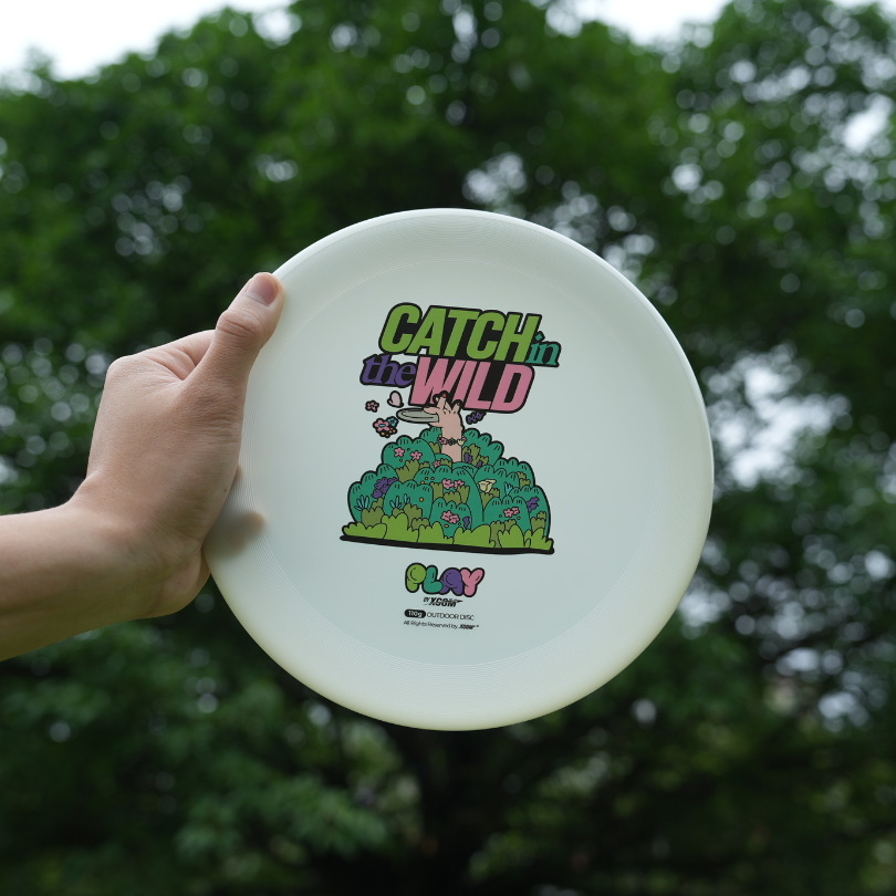 Outdoor Flying Disc